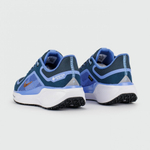 кроссовки Nike Air Zoom Pegasus 41 Gtx Cobalt FQ1357-400