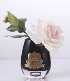 Роза чайная бело-розовая в темной вазе, Cote Noire