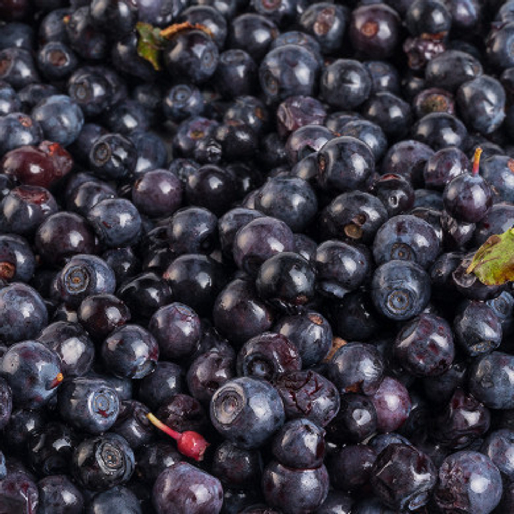 Байкальская черника