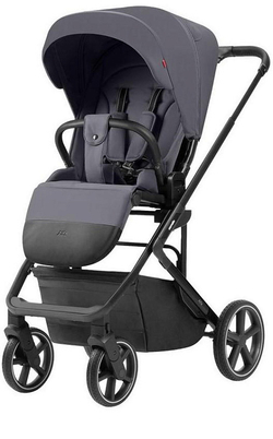 Коляска 2 в 1 Carrello Alfa 2025 CRL-6522 Fashion Grey