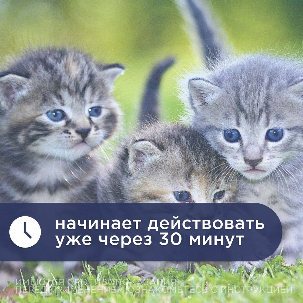 Экспресс Успокоин таблетки для кошек (6 таблеток)