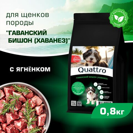 Корм сухой для щенков породы Гаванский бишон (Хаванез), премиум полнорационный комплекс, с ягненком, 800 гр, QUATTRO