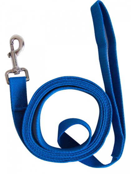 ZOONIK Поводок брезентовый 25 мм, длина 3 метра