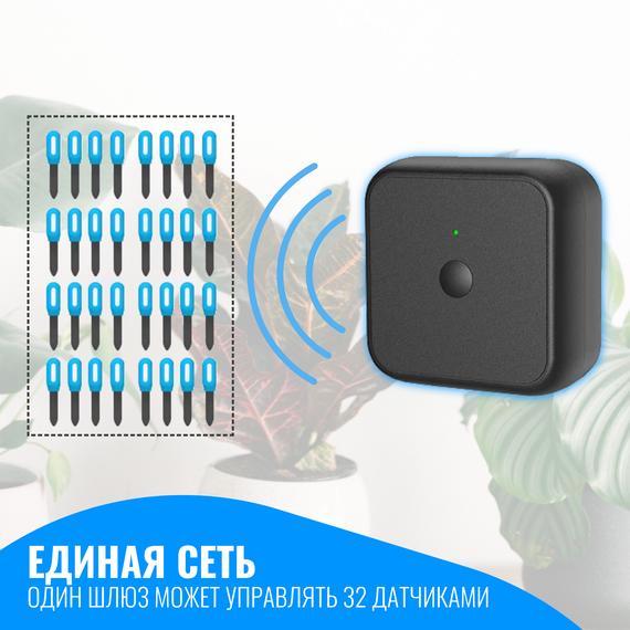 Умный WiFi датчик температуры и влажности почвы Smart Aura с шлюзом