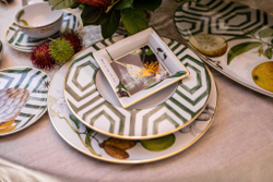 Чайная пара 250мл Vista Alegre Амазония