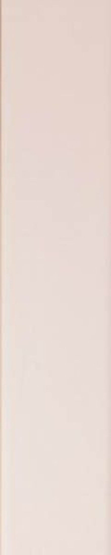 Настенная плитка SPECTRE Rose Matte (4100723)