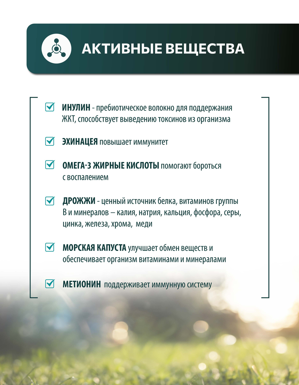 Vita+ мультивитаминное лакомство для собак Крепкий иммунитет, 90 таблеток