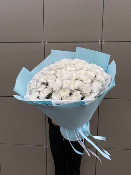 Хризантемы белый айсберг