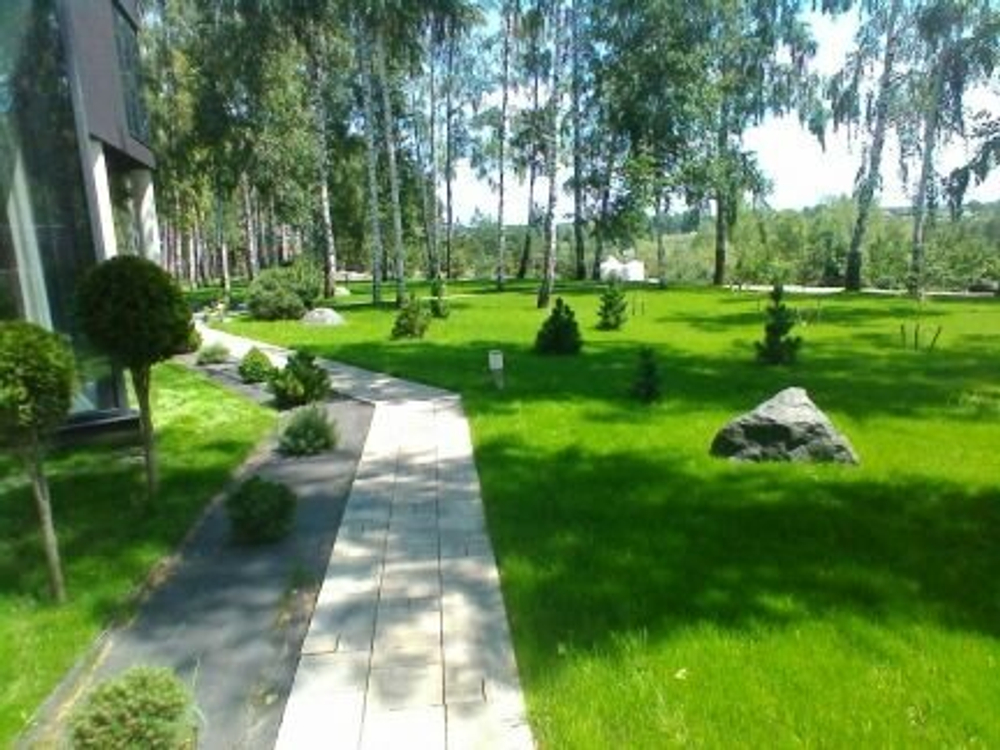 Благоустройство участка