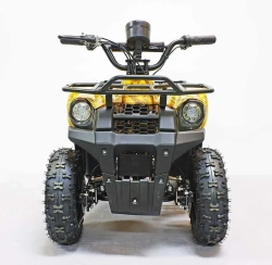 Электроквадроцикл Green Camel Гоби K45 (36V 800W R6 Цепь) быстросъем, ножной тормоз