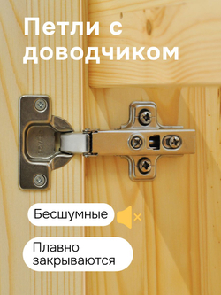 Тумба под телевизор, 115х29х40, Хаба, напольная, 2 двери, сосна, лак, Dipriz