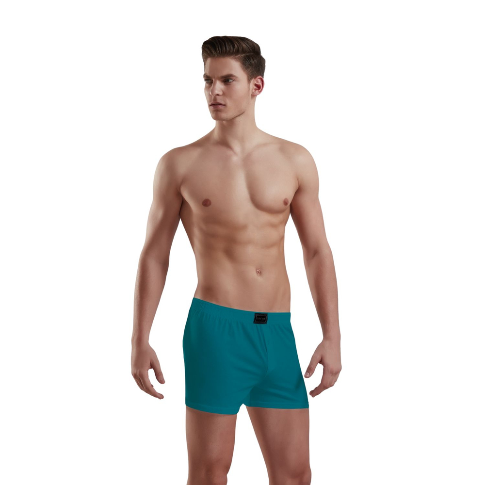 Хлопковые трусы-боксеры свободного покроя Doreanse Cotton Basic (Размер: XL) (Цвет: белый)