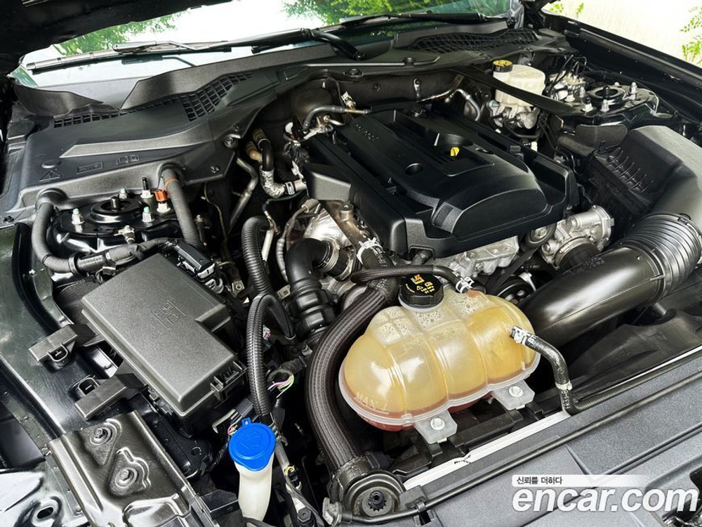 Ford Mustang Convertible (01.2020)