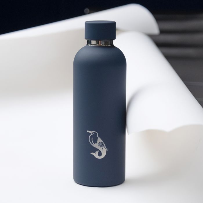 Insulated water bottle