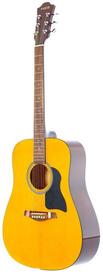 Акустическая гитара Fabio FW220 N