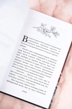Зловещий ресторан. Дневник Лидии (Книга 2)