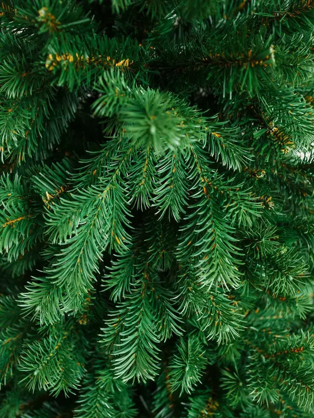 Искусственная узкая елка «Леман» (Литая+пвх) от 1,2 м до 2,1 м