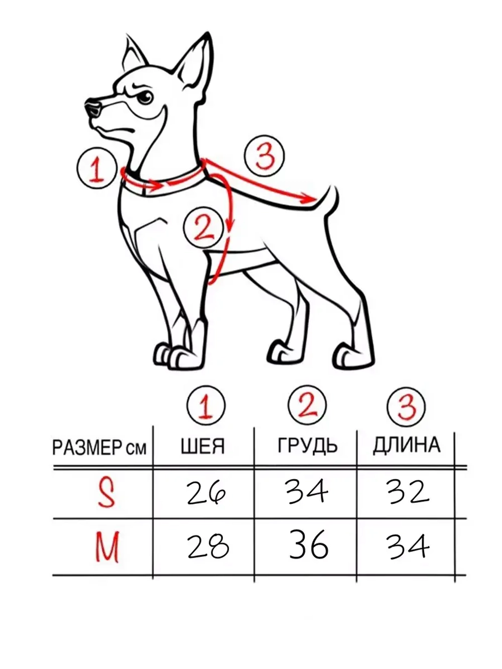 Одежда для собак мелких пород