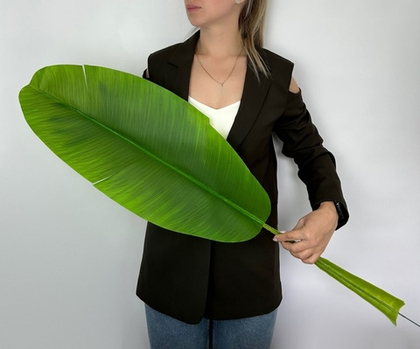 Лист банана светлый гигант / Арт 9052