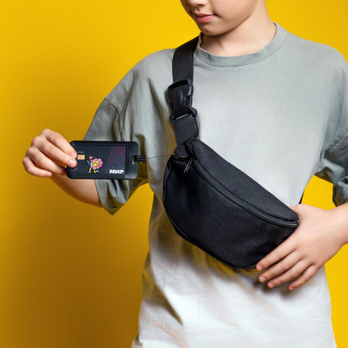 Поясная сумка с держателем для карт. Без принта