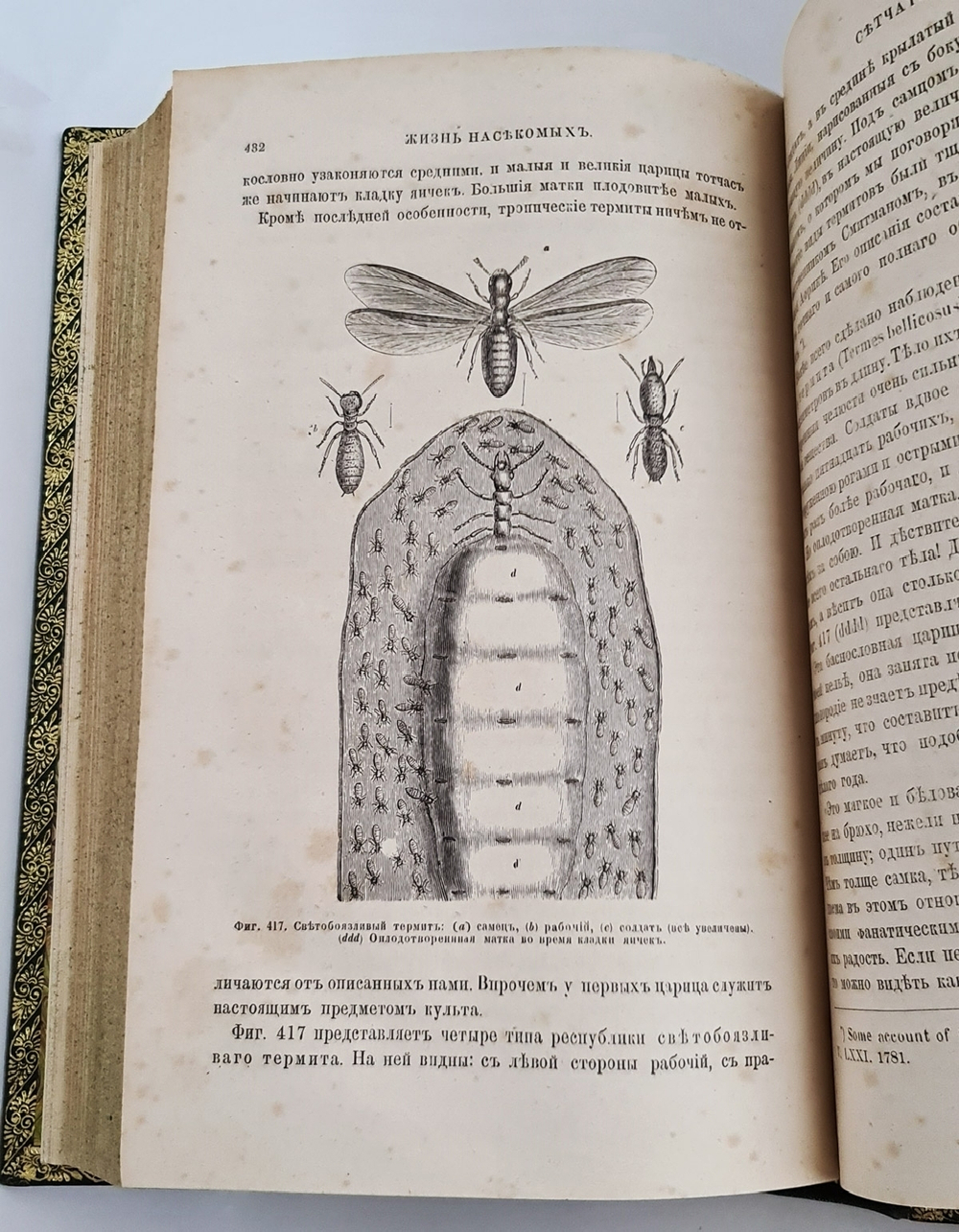 "Жизнь насекомых". Луи Фигье. 1869г. - антикварное издание