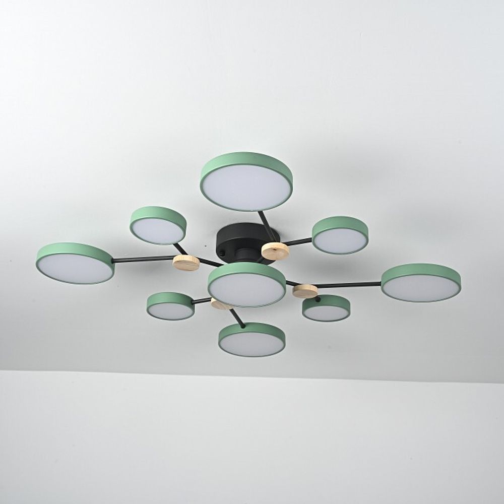 Потолочная люстра Imperiumloft GAMMA gamma01