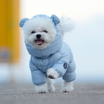 672 Комбинезон "Комфорт до -20-25°C" с молнией на спине, девочка/ COMFORT - FOR GIRLS, для девочки PREMIUM (SSOOOK)