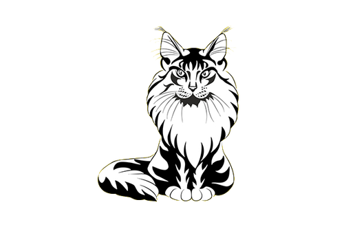 товары_для_кошек.png