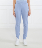 Спортивные штаны Armani Exchange - голубой(3RYP85 YJ3NZ)