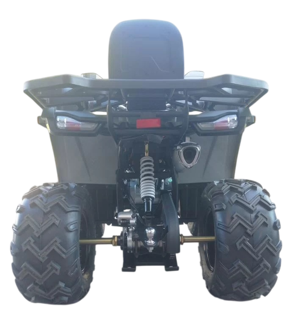 Квадроцикл Avantis H200 NEW BIG Lux (баланс. вал) 2025 Зеленый