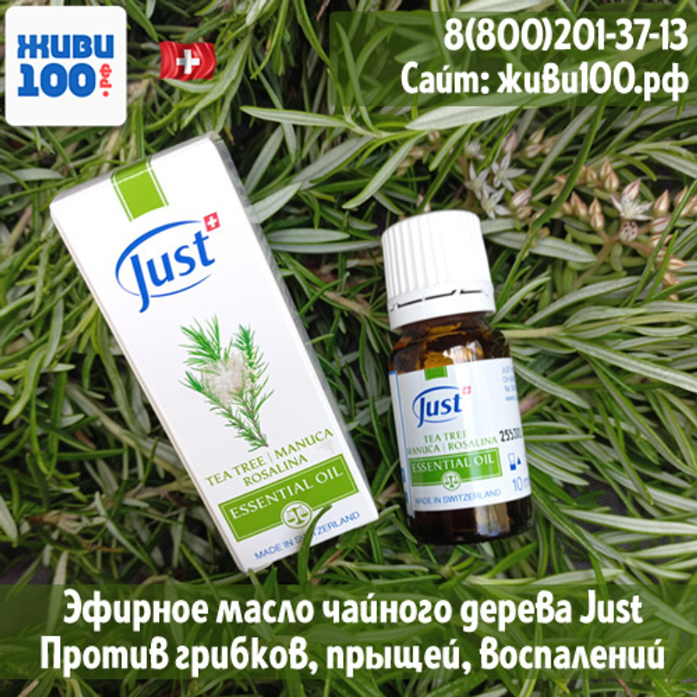 Масло Tea tree Just Чайного дерева Юст | Купить с бесплатной доставкой