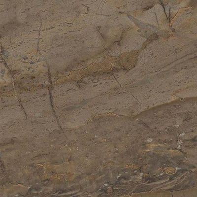 Керамогранит Royal коричневый SG164000N