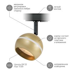 Трековый светильник однофазный ЭРА TR47-GX53 MG под лампу GX53 матовое золото