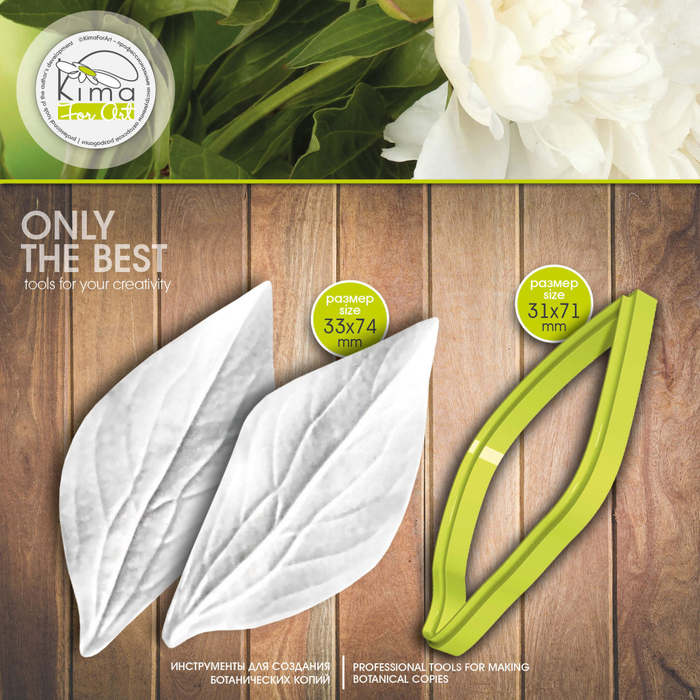 Пион лист маленький широкий