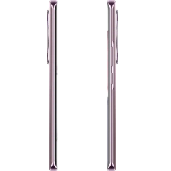 Смартфон Honor X9c 12/256Gb Titanium Purple (BRP-NX1)