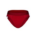 Мужские трусы брифы бордовые DARKZONE DZNBM6307