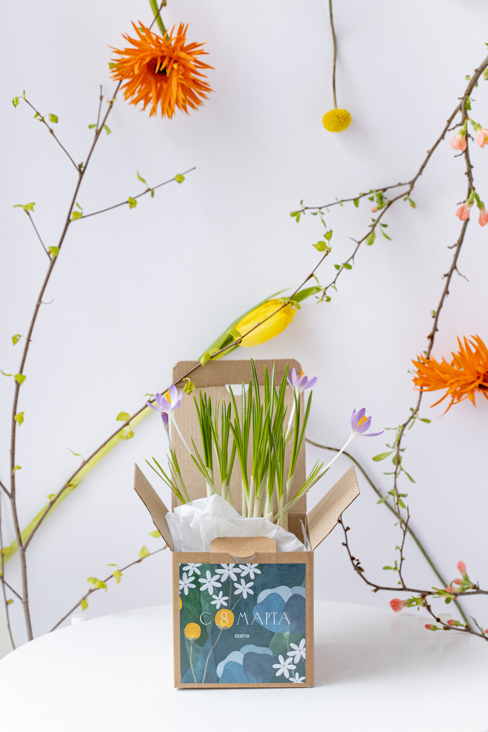 Первоцвет в праздничной коробочке