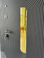 Дверь входная Импресс