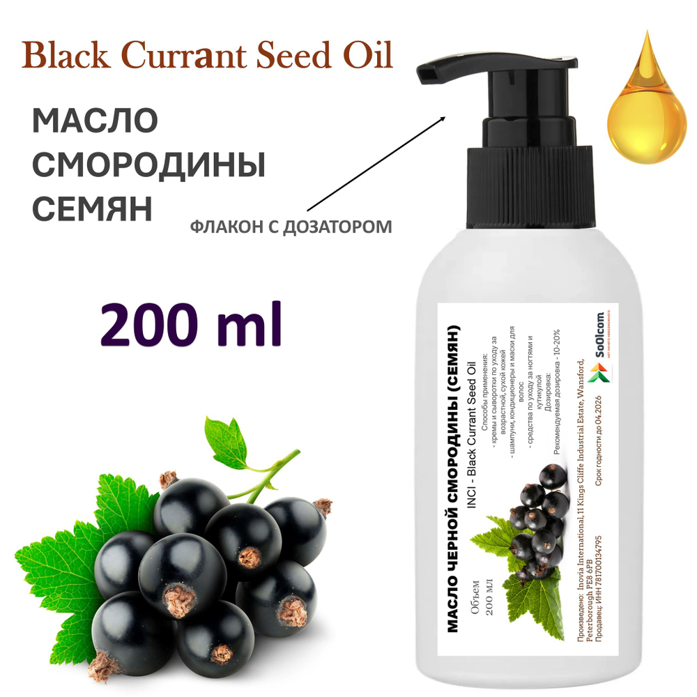Масло чёрной смородины семян, рафинированное