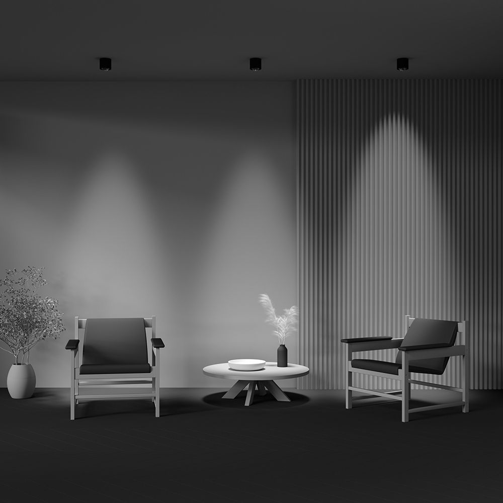 Светильник потолочный светодиодный Maytoni Lens C217CL-15W4K-B