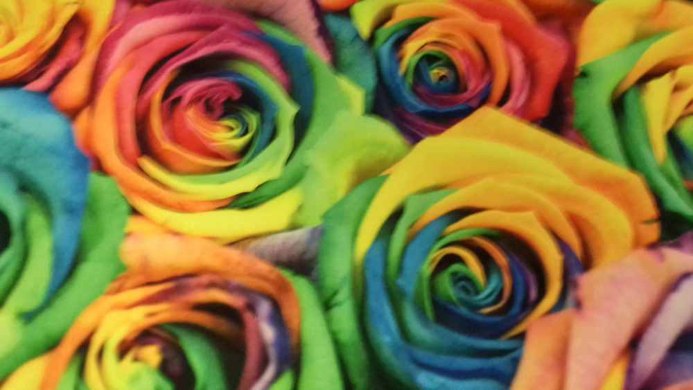 Микровелюр Xpoint (Икспоинт) 0048.01 Роза цветная купон