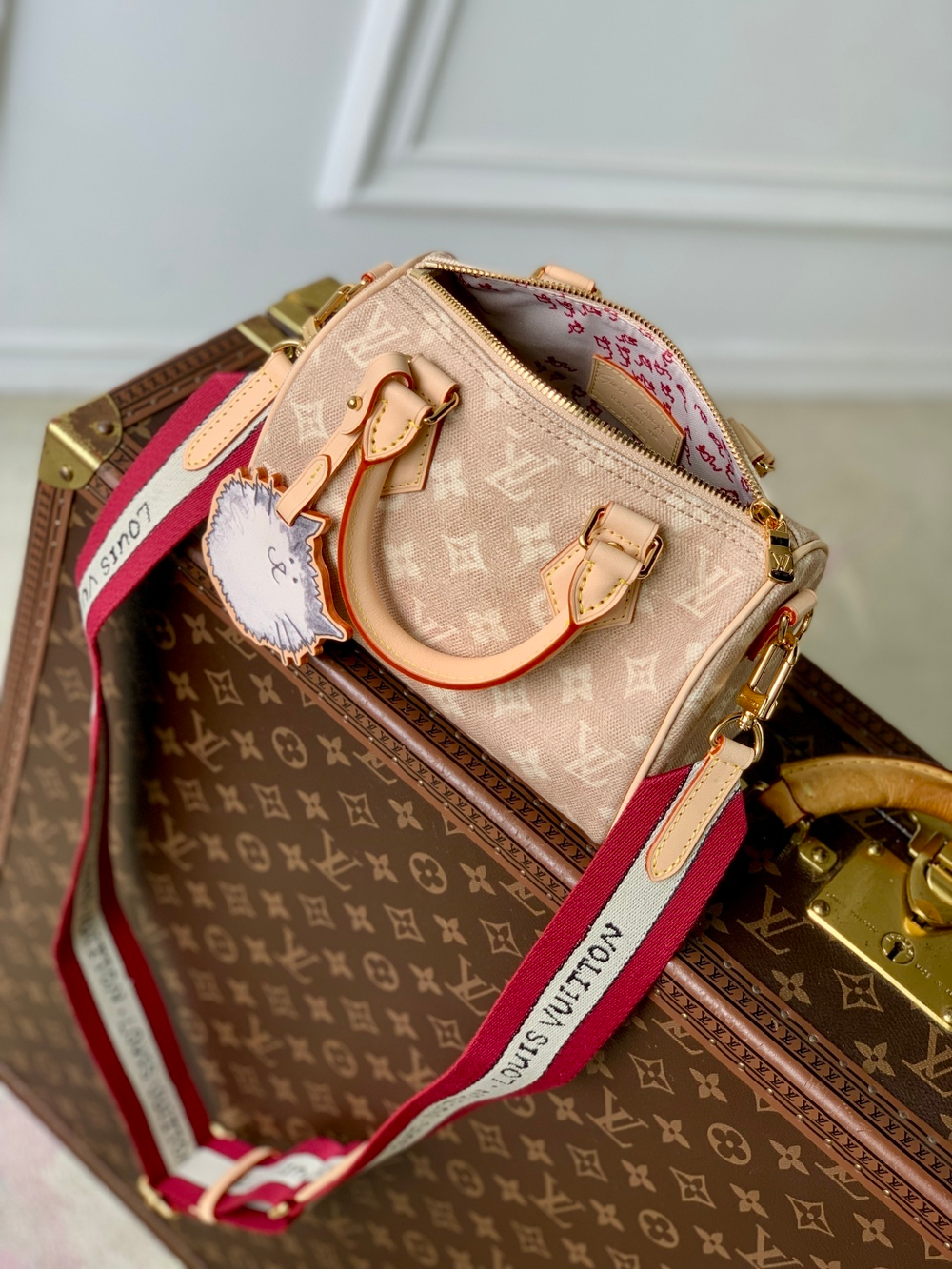 Louis Vuitton Speedy Bandouliere 20