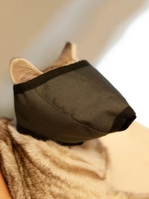 Намордник для кошки Монморанси 4-6кг для животных для кошек