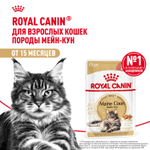 Royal Canin Maine Coon Adult Мейн Кун Эдалт Корм влажный для взрослых кошек породы Мэйн Кун соус 85г