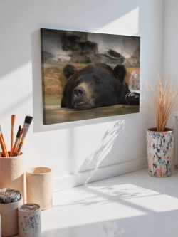 Картина на стену 40 X 50 Медведь