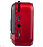 Радиоприемник Perfeo PF-B4058 ASPEN