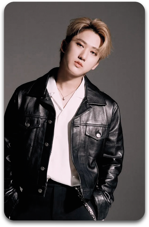 Карта / STRAY KIDS #3078