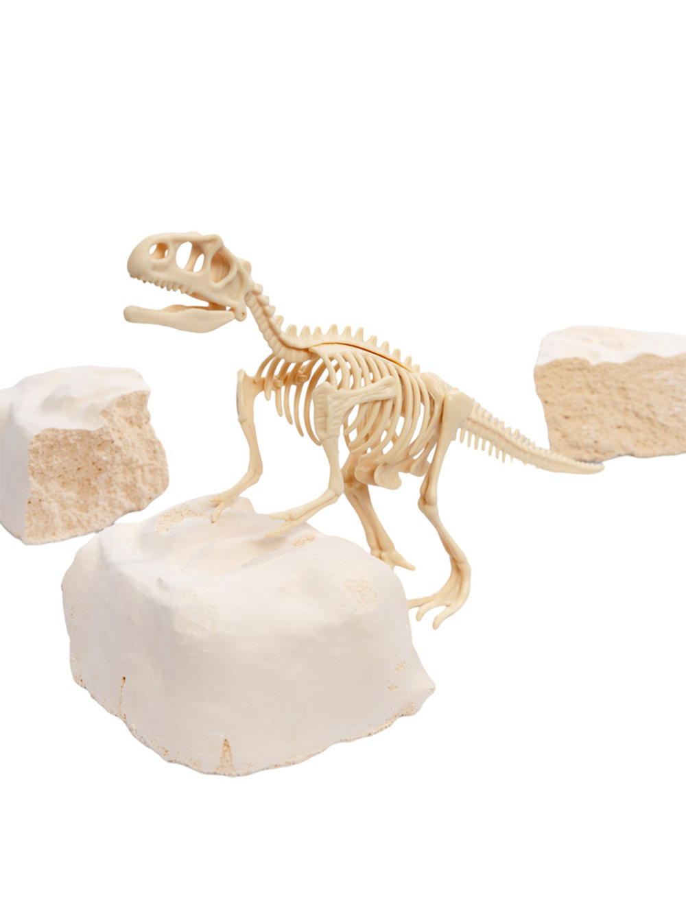 Раскопки Найди окаменелости Тиранозавра 11 эл