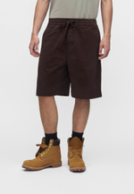 Carhartt WIP FLOYD  - Шорты - Коричневый