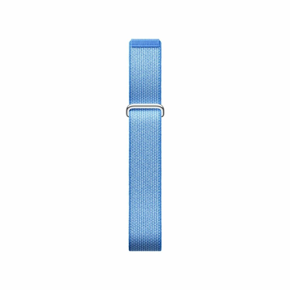 Google Fitbit Air